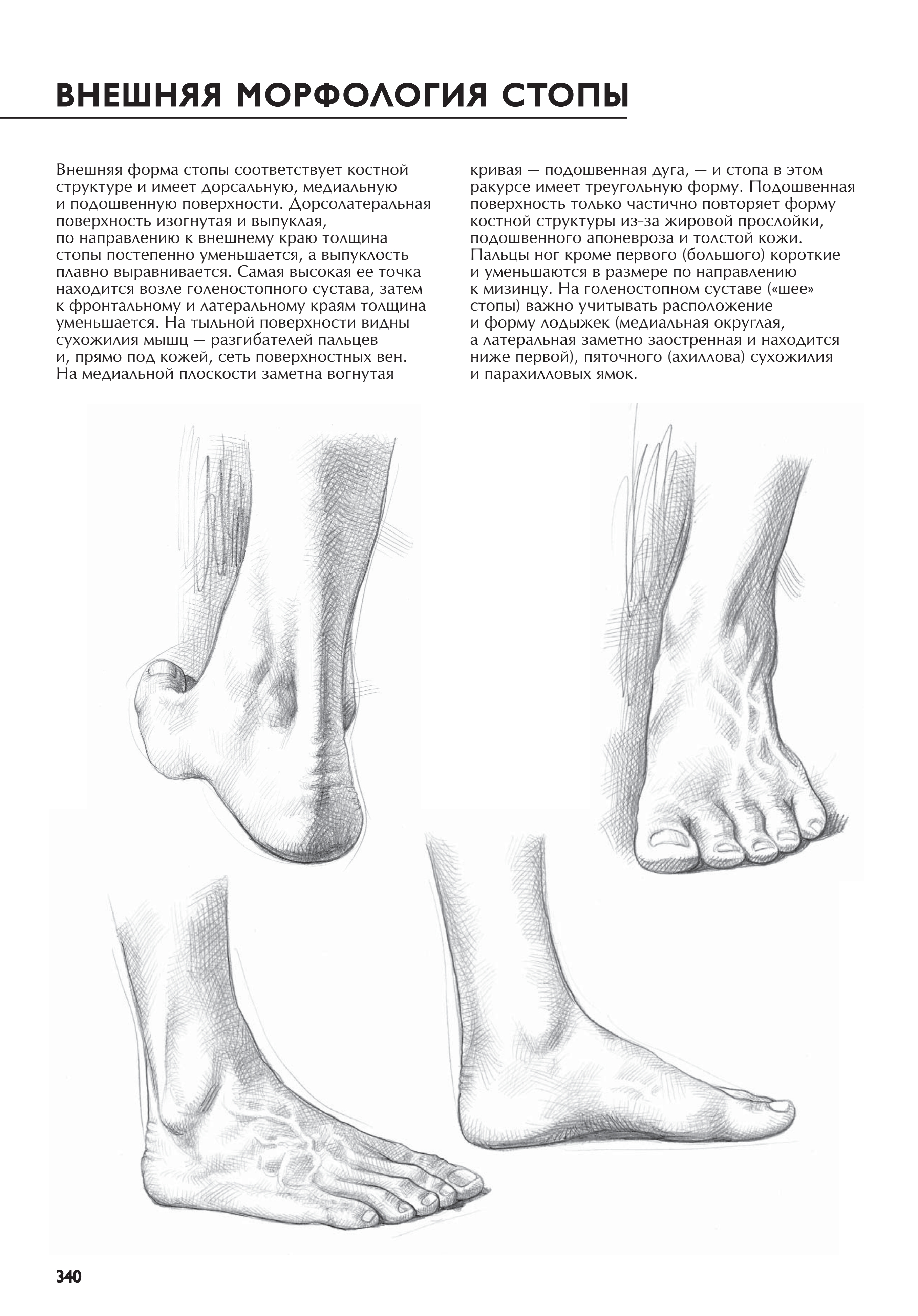 آموزش نقاشی طراحی سیاه قلم شهرری کتاب